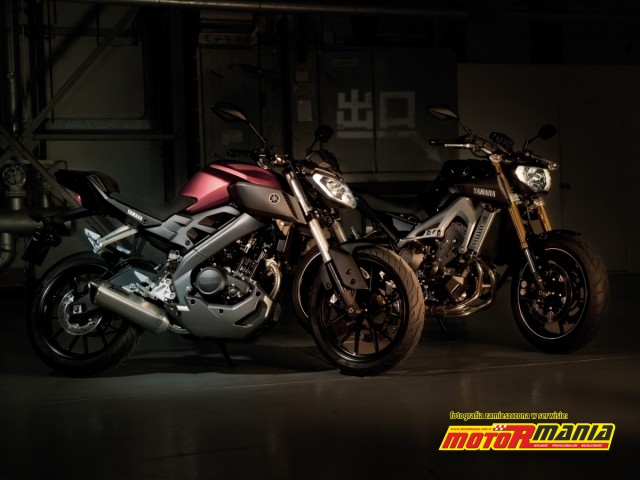 Yamaha MT-125 2014 (22)