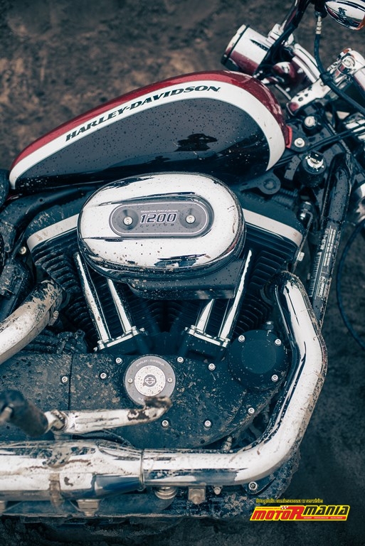 H-D 1200 Custom (11)