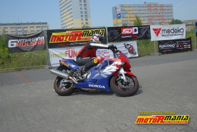 08-Dziki-fot-Pacyfka