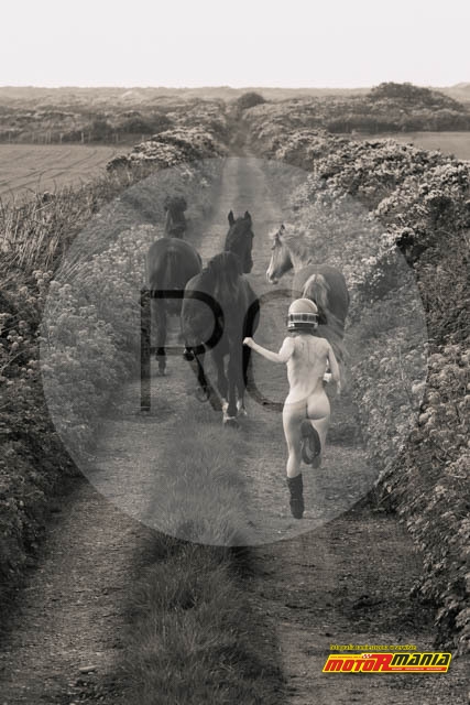 SEPIARUNNING_HORSES - kalendarz Milestones TT z Rachael Clegg