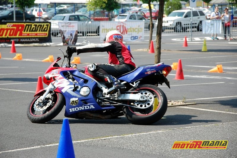 02-Dziki-fot-Klaudia-Mis