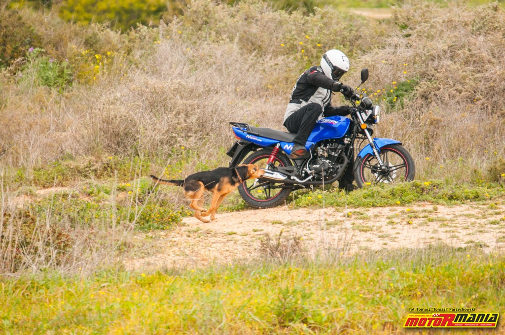 Barton N125 - fot Tomazi MotoRmania (1)