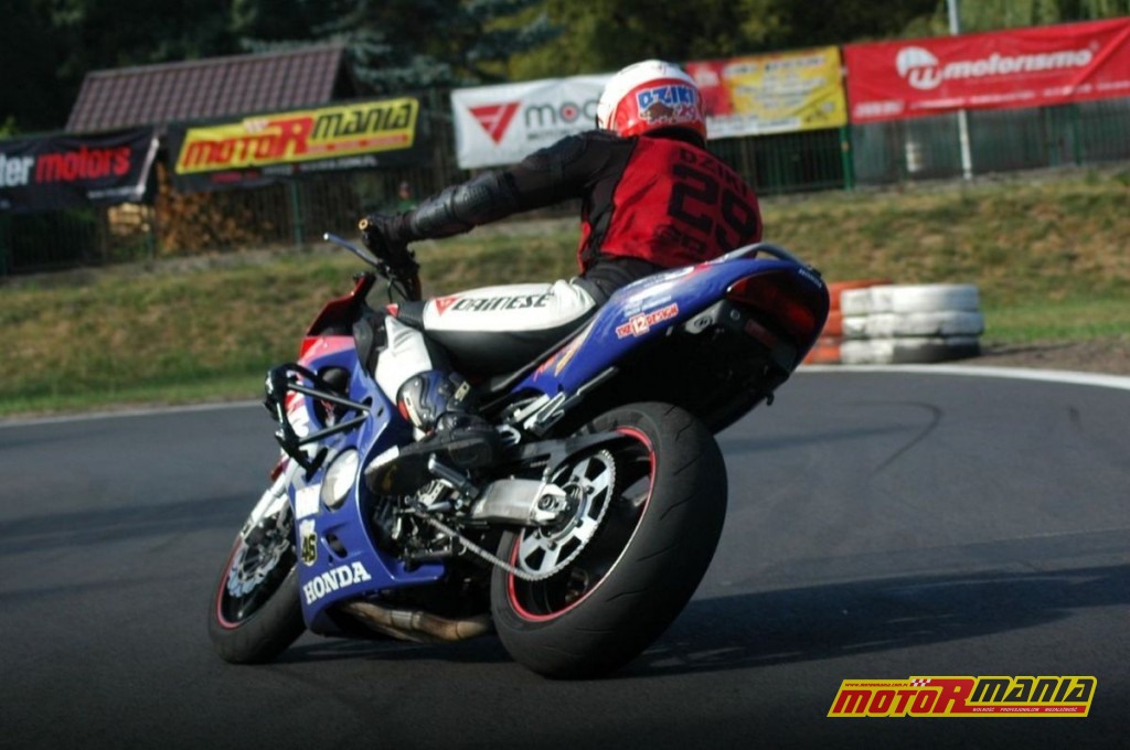 007-Dziki-fot-Pacyfka