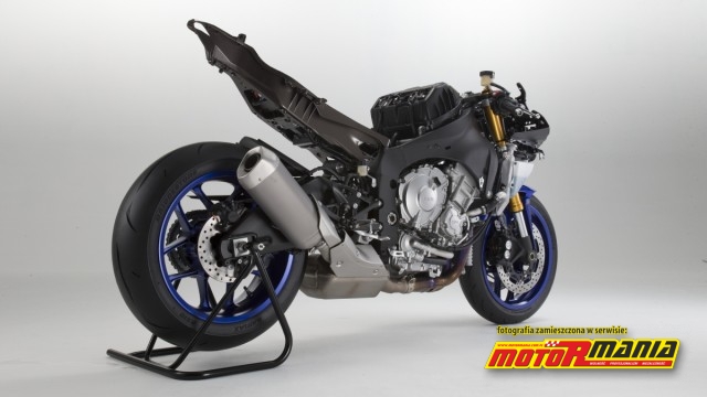 2015 Yamaha YZF-R1 2015 (10)